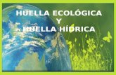Huella Hidrica y Huella Ecologica