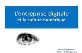 Entreprise digitale et culture numérique