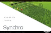 Synchro Presentation Kr