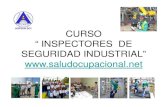 Curso  Inspectores  Seguridad  Industrial 2010