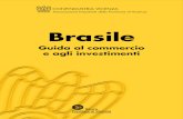 Brochure guida al commercio e investimenti (Brasile)