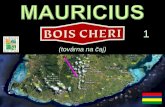 Mauricius - Bois Chéri - tea factory - 1 (2012)