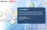 Microsoft Dynamics CRM Online, personalizzazione della soluzione