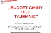 Budżet bez tajemnic - Dariusz Kraszewski (SLLGO)