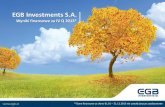 EGB Investments S.A. - prezentacja wyników finansowych za IV kwartał 2013 r.