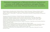 Genomic Comparizon of Bradyrhizobiaceae