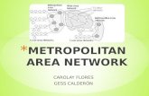 Metropolitan area network