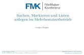 FMK 2013 Suchen, markieren und Listen, Mehrbenutzer , Longin Ziegler