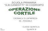 Operazione Cortile
