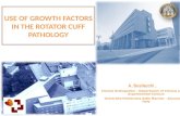 Growht Factors in Rotator Cuff