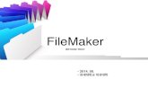 FileMaker Medical Presentation