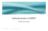 Introduccion ospf