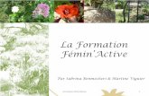 Programme formation Fémin'active 2012