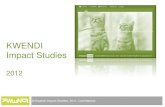 Kwendi Impact Studies 2012 presentation