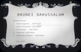 Brunei darussalam