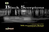 Black scorpions