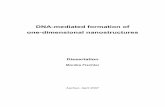 Monika Fischler- DNA-mediated formation of one-dimensional nanostructures