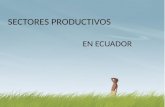 Sectores productivos Ecuador