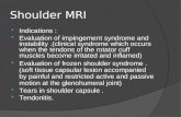 MRI Joints