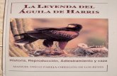 Cetreria - La Leyenda Del Aguila de Harris