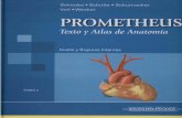Prometheus Tomo II Cuello y Organos Internos 1ED