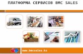презентация платформы Bmc sales для пользователя