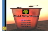 Gsm & cdma wireless