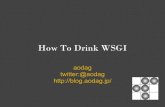 How To Drink Wsgi