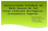 Sistemática Vegetal: Monocotiledôneas  Ciências  Biológicas