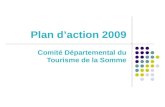 Plan d'action 2009 du CDT de la Somme