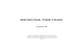 Medicina tibetana 8