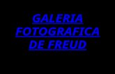 Galeria Fotografica De Freud