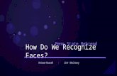 How Do We Recognize Faces?