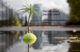 Lezing Leeke Reinders: over de harde stad, de zachte stad en alledaagse ruimtes