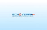 ECHEVERRIA biz - Agencia de Marketing Online