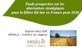 Étude prospective sur les alternatives stratégiques  pour la filière blé dur en France pour 2020