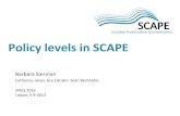 Policy levels in SCAPE