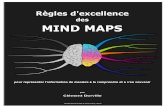 Regles excellence mind map