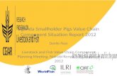 Uganda Smallholder Pigs Value Chain Component Situation Report 2012