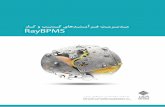 RayBPMS (Rayvarz Business Process Management System)