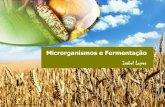 Microrganismos e Fermentação