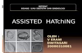 Assisted Hatching