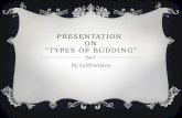 TYPES OF BUDDING