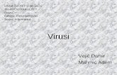 Virusi Slide Show