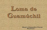 Loma De GuamúChil