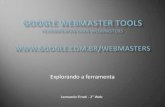 Google Webmaster Tools - Leonardo Finoti