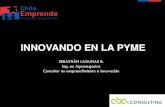 Taller innovando en la pyme (Chile Emprende)