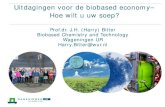 Uitdagingen voor de biobased economy– Hoe wilt u uw soep? (Harry Bitter)
