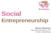 Social Entrepreneurship, Breadpig-style