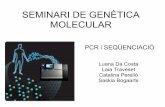 Seminari 2: Sequenciació i PCR.